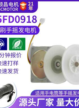 Z5FD0918寿命长无刷直流手摇发电机噪音低效率高小型电机微马达