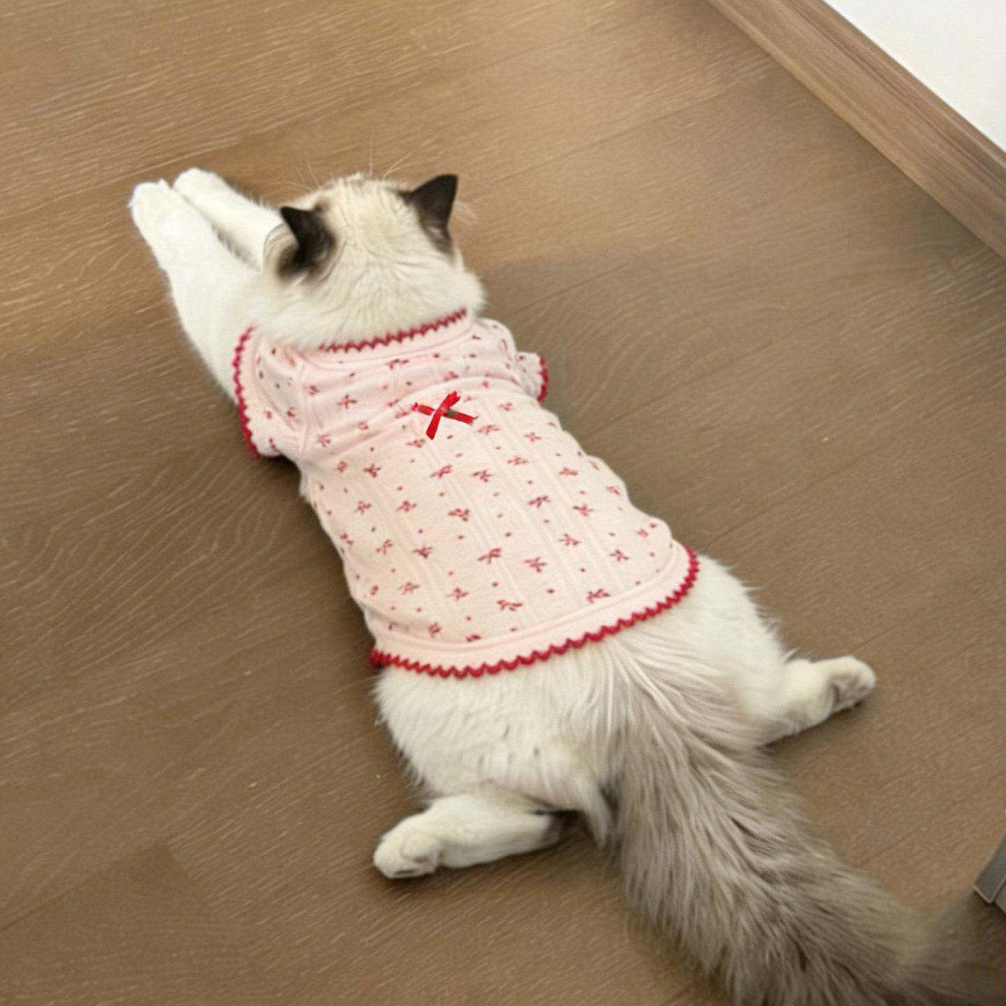 春天猫咪衣服布偶猫德文猫薄款防掉毛春装幼猫幼犬夏季可爱背心