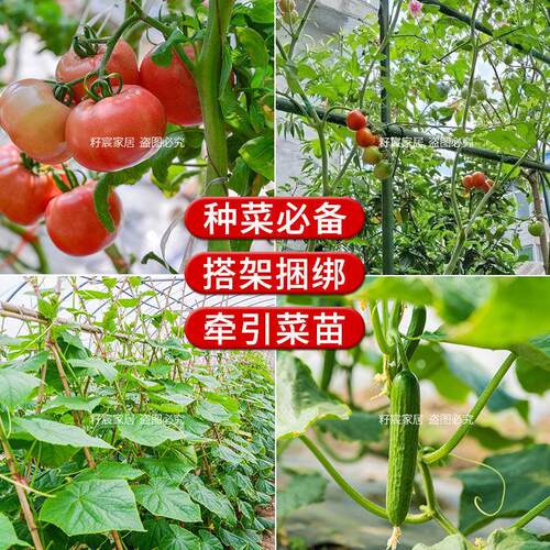 跨境园艺园林花木铁丝捆绑捆绑带