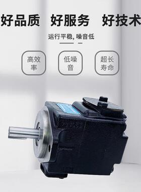 丹2尼逊denison叶片泵T6CC012062R0C片101定量高压0叶油泵批KND现