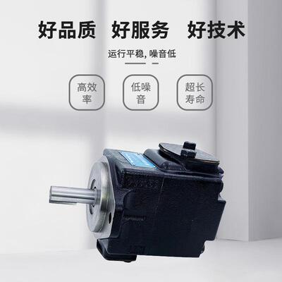 丹尼逊denison叶片泵 T6CC0120062R02C101定量高压叶片油泵批现批