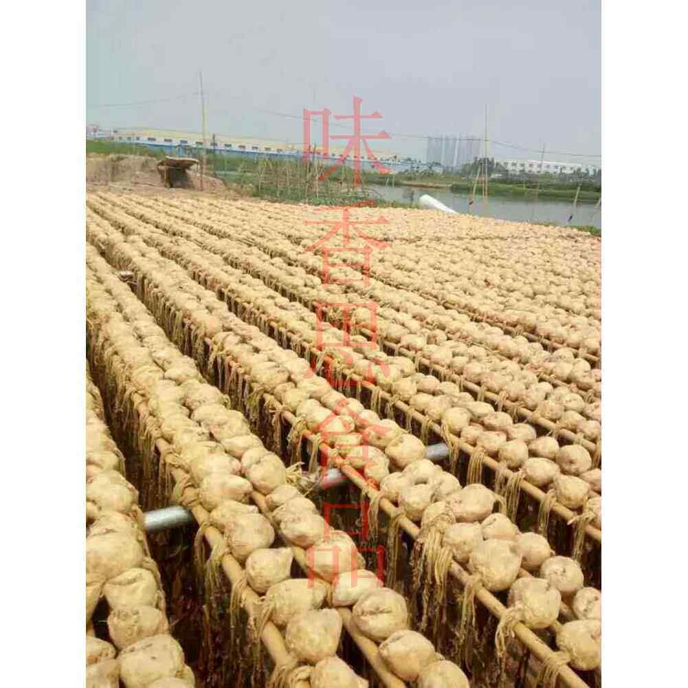 新货顺德特产淡口均安大头菜散装广东农家腌制新货咸菜酱菜下
