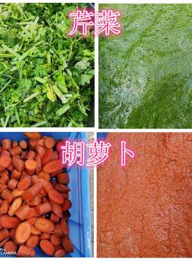 蔬菜泥打浆机做粉条面条打蔬菜水果浆的机器各种产量连续打浆