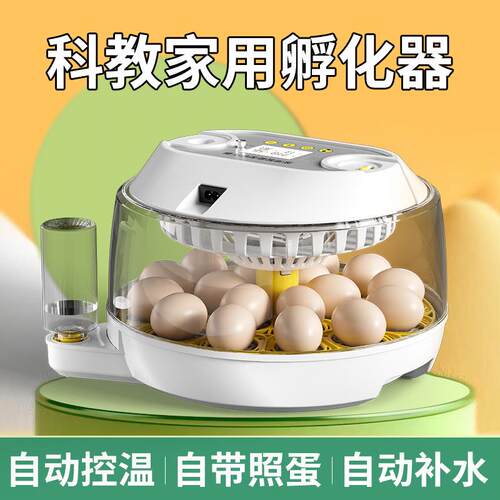 孵化机智能孵化箱小型家用孵化器小鸡鸭鹅孵化箱鸽子芦丁鸡孵蛋器