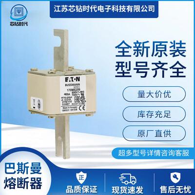 170M5214 170M5215 170M5216 巴斯曼BUSSMANN熔断器保险丝
