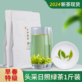 山东日照绿茶2024年新茶1斤高山云雾炒青茶叶礼盒