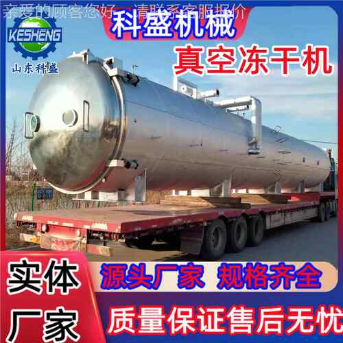 羊菌菇类冷冻干肚燥机 墨红玫OUN瑰冻干机 蔬菜空真低温冻干设备