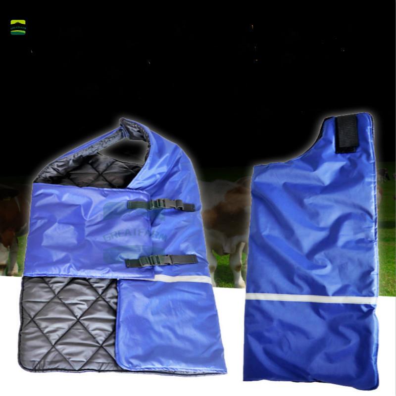 牛犊保暖衣马甲加绒犊牛防寒衣保暖服加厚小牛衣服棉牛犊子衣服