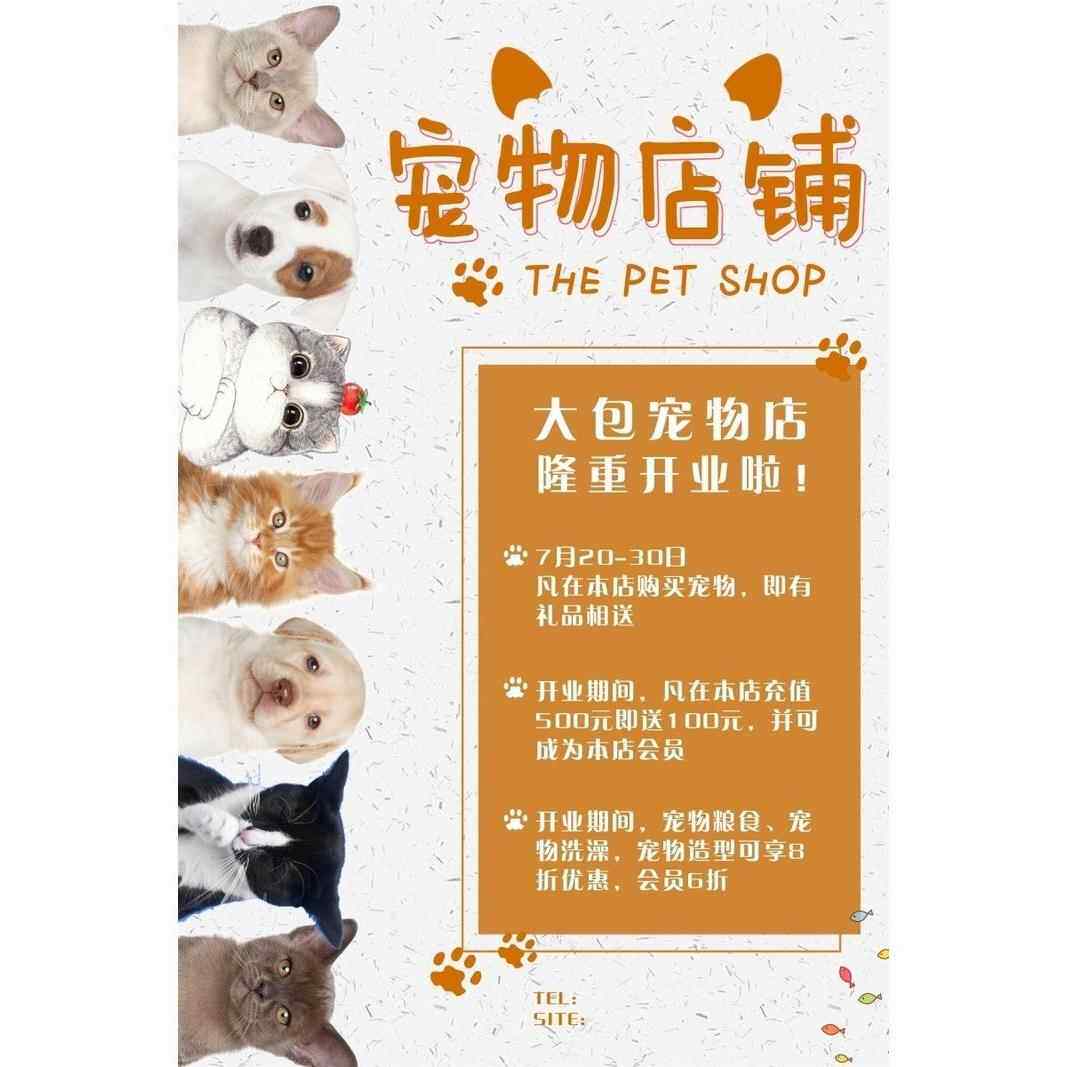 宠物店铺海报展板宠物医院会员充值宠物寄管每次十元萌宠医院KT板
