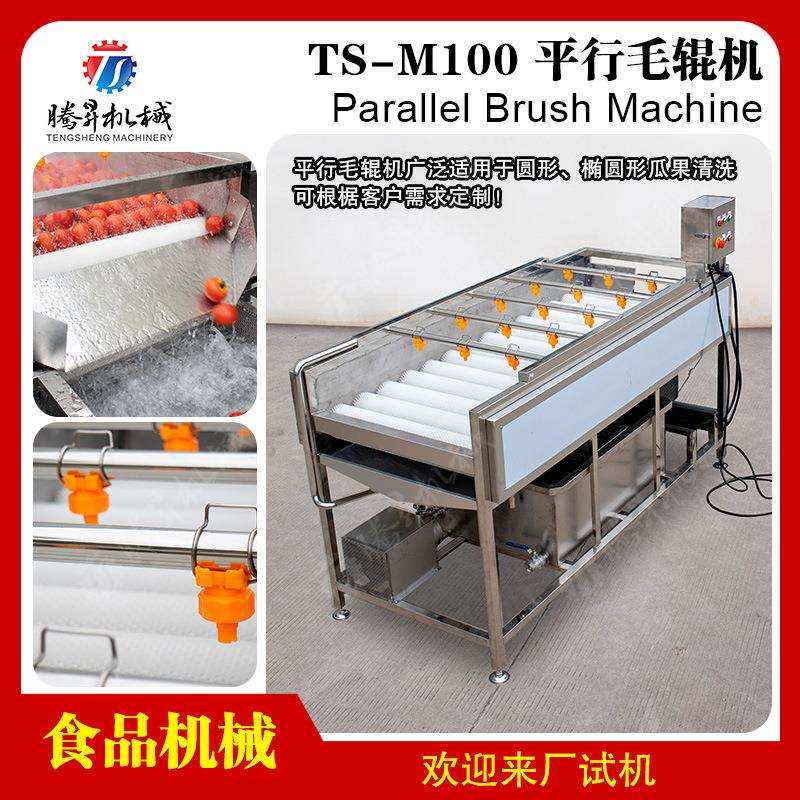 平型毛辊清洗机 毛桃黄桃平行毛辊清洗机 根茎类毛刷清洗机设备