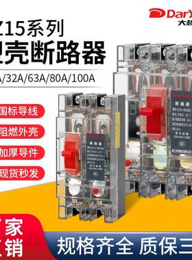 DarYua DZ15透明2P塑壳断路器3P空气开关32A保护器100A工地用电闸