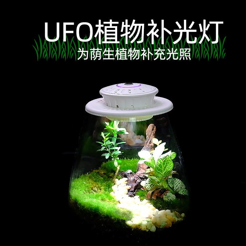 全光谱苔藓植物生长灯微景观补光灯生态瓶植物灯生态缸植物补光灯