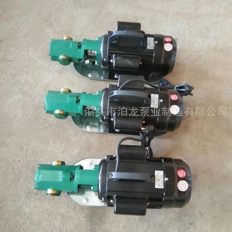 供应WCB手提齿轮泵WCB-50齿轮泵泊头WCB泵泊头手提泵厂家