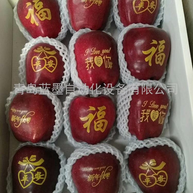 礼品印刷机器可食用水果印字机厂家
