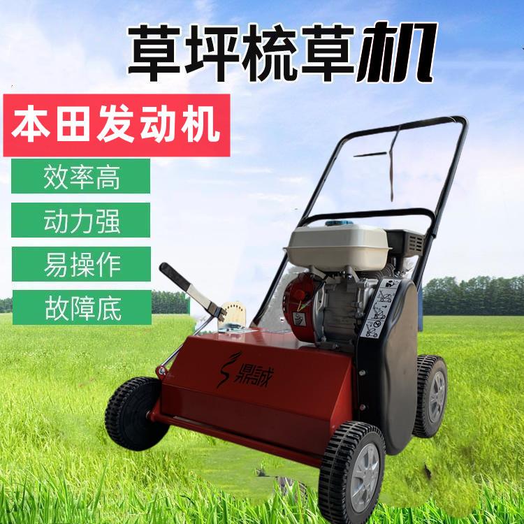 诺伯曼梳草机草坪梳草机汽油6马力手推式真草坪打孔机草地梳理机