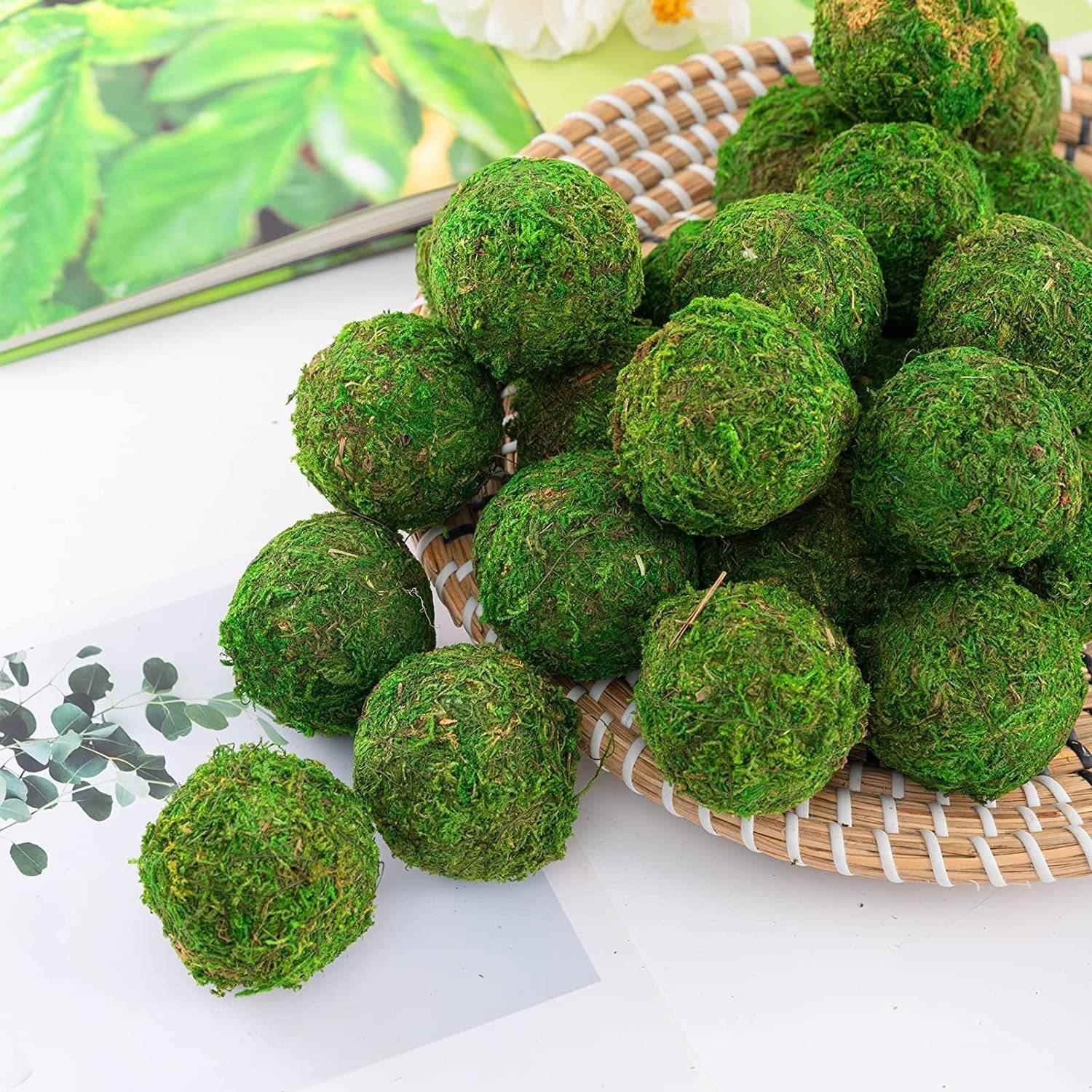 厂家供应真青苔苔藓球微景观园艺花盆盆栽造景草球干花球挂饰吊饰