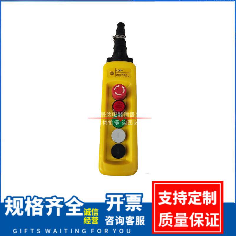 浙东带灯款COBP/COBF/COBY行车手电门防雨型单双速行车按钮开关