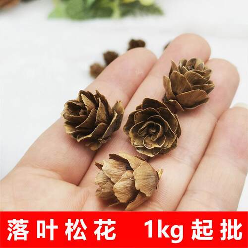 迷你小落叶松花圣诞装饰1.5-2.5cm天然迷你松花1kg起批直销