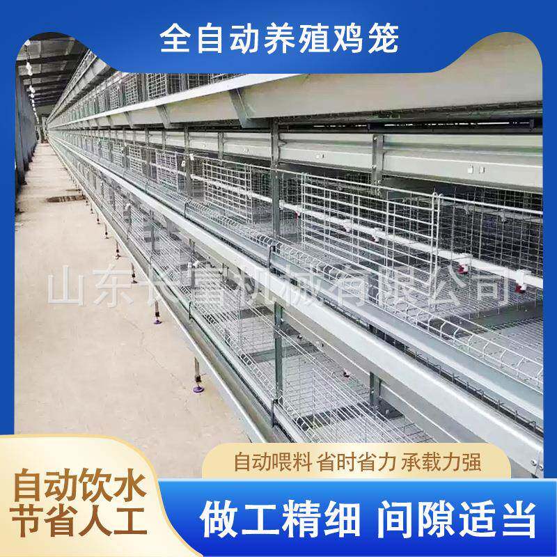层叠式肉鸡笼框架全自动半自动立体镀锌鸡舍家用养殖层叠式蛋鸡笼