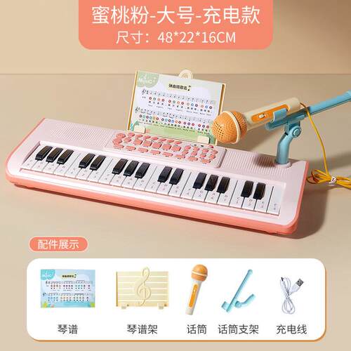 正品儿童入门宝电子琴男女孩多功能可弹宝奏孩小钢琴入门早教乐器