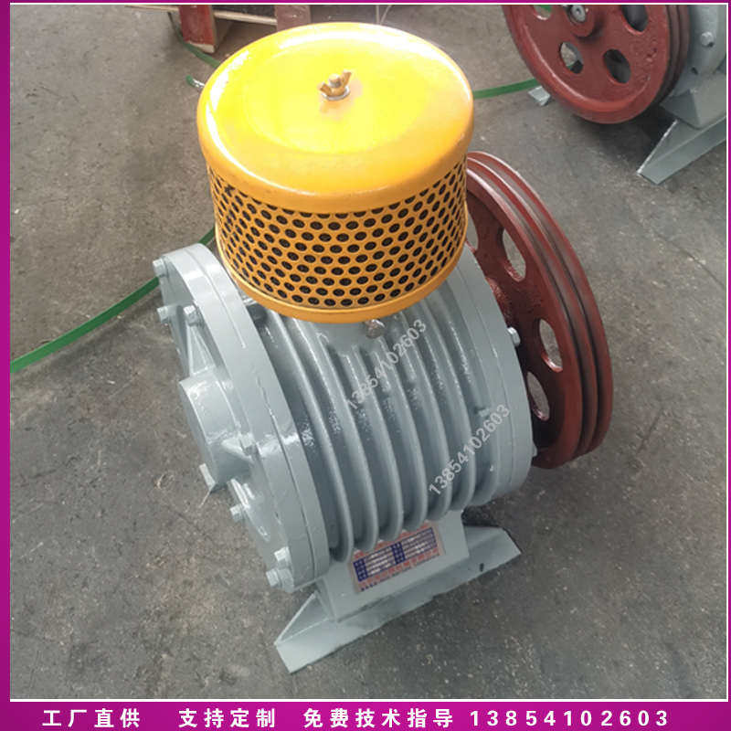 回转鼓风机主机机头维修替换泵头HC30s/40s/50s/60s/80s/100s罗茨