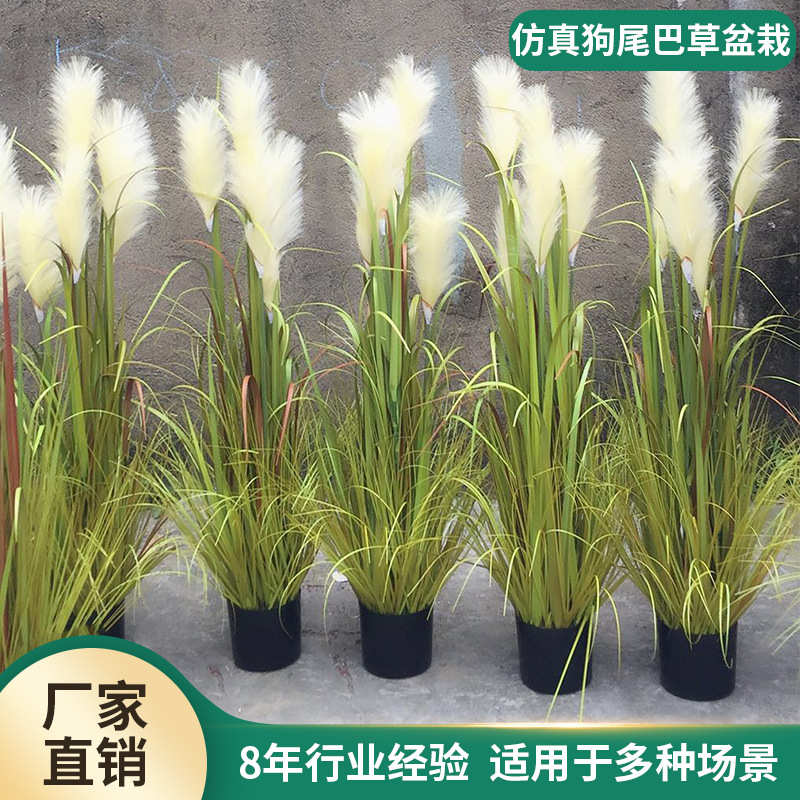 仿真芦苇狗尾草盆栽PVC假花大型仿真绿植洋葱草盆景摆件