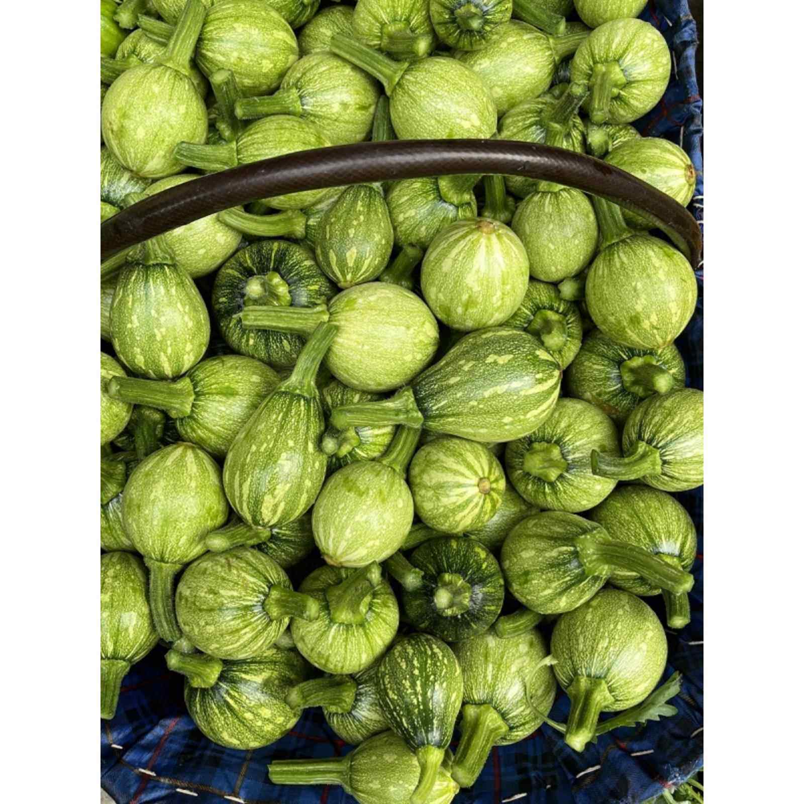 贵州农家自种小南瓜新鲜小瓜迷你小南瓜青菜瓜嫩南瓜500g包邮