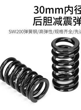 DNM 避震器弹簧 DV22AR/KS 291R/260 30mm内径弹簧350-1000lbs