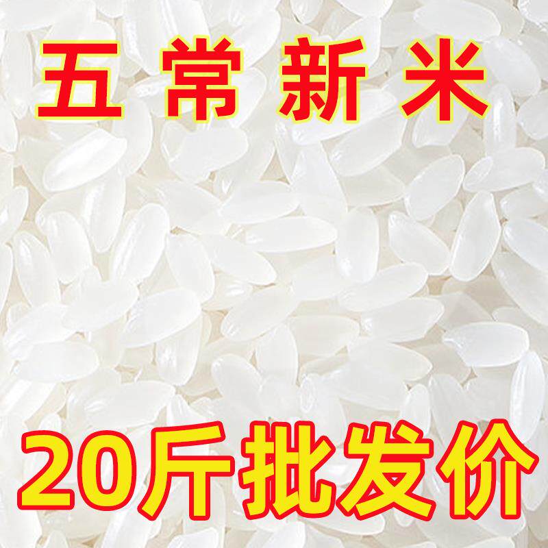 五常大米2024年新米东北大米20斤香稻米长粒大米20斤农家