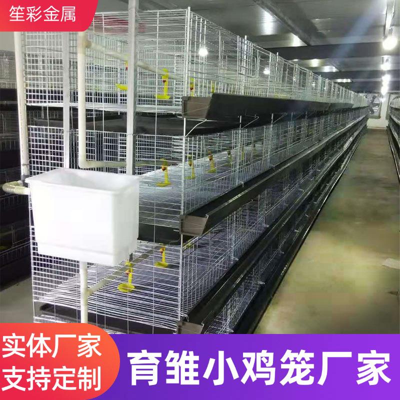 育雏小鸡笼多层叠立式小鸡笼农场育雏繁殖养殖小鸡笼全套设备笼具
