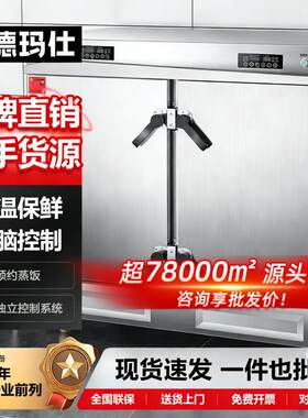 徳玛仕48盘商用压力蒸饭柜大型蒸箱电蒸柜炖汤柜蒸馒头蒸饭车哇噢