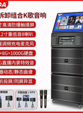 科达KD-1212多用途家庭KTV音响套装户外广场舞点歌视频音箱