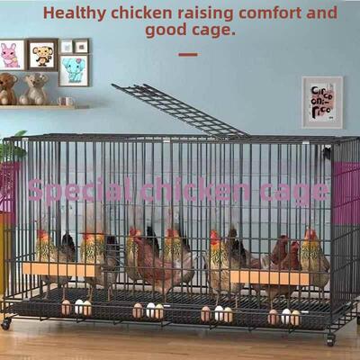 鸡笼子养殖笼家用大号加粗加固自动滚蛋清粪可折叠鸡鸭笼养殖笼