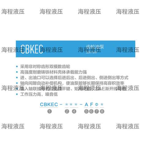 CBEC列齿轮油泵单NUL系泵C齿轮K油联泵