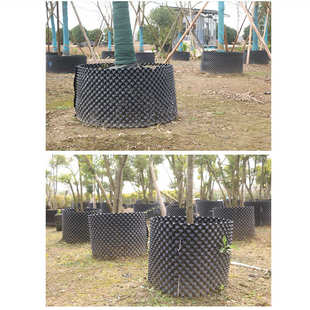 黑色阻围栏加厚板盆景厂家直销板根植树根控控器阻根器围树塑料