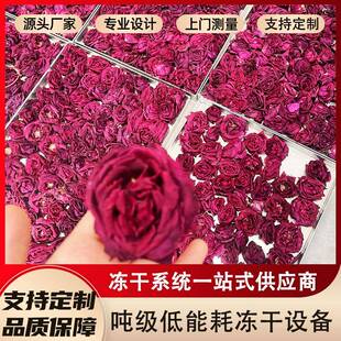 FD中小型花卉冻干机多用途冻干设备真空冷冻干燥机冻干整朵玫瑰