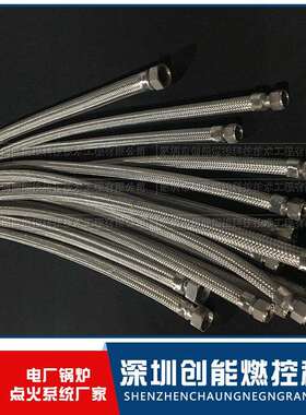 金属软管PN64DN25L=2000配XRZ-22-300大油枪316