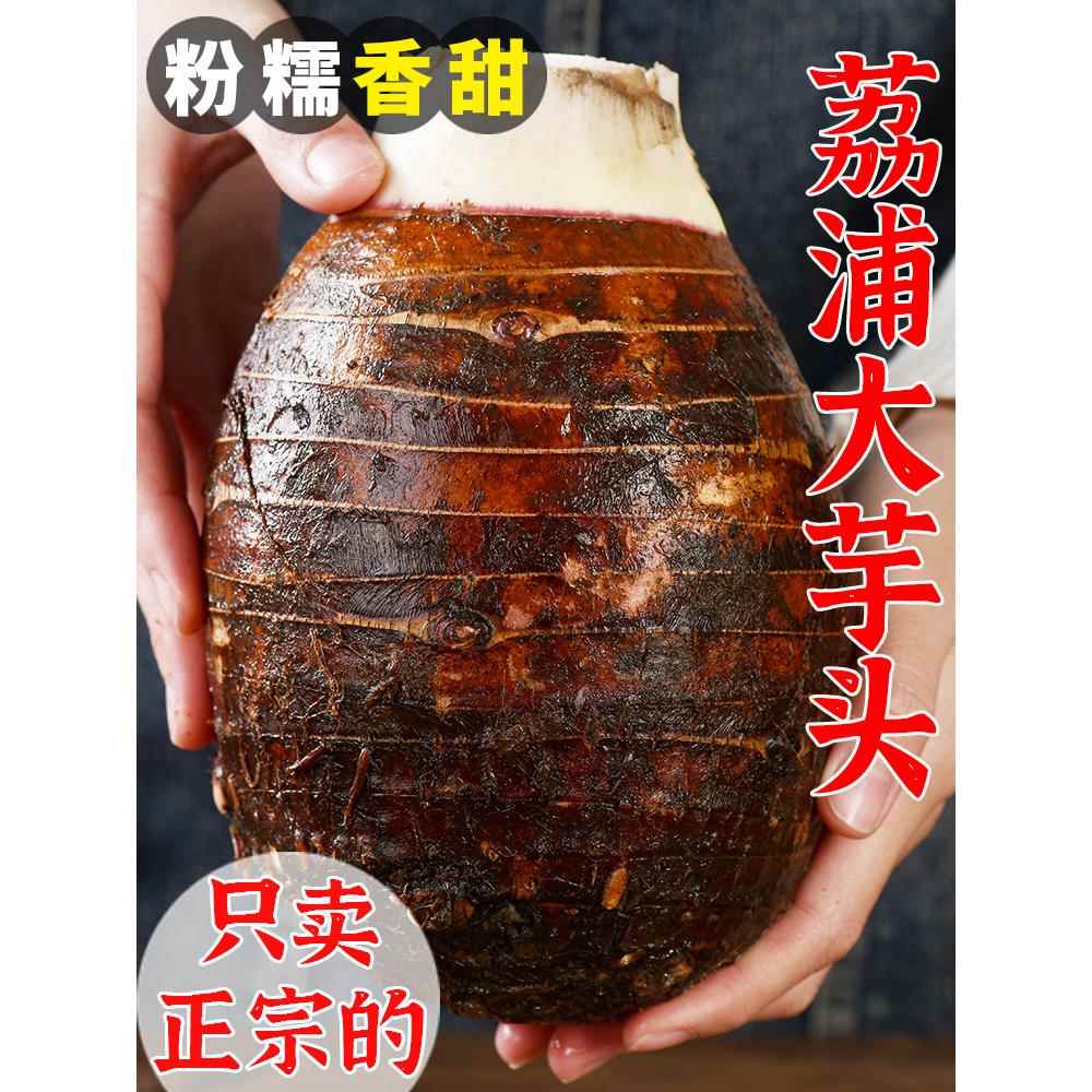 广西荔浦新鲜大芋头10斤整箱小芋头旗舰店正宗芋现挖毛芋头5