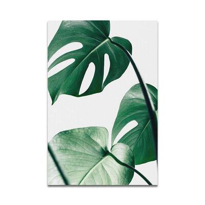 Nordic Monstera Deliciosa Green Plant Leaf Turtle Back Bambo