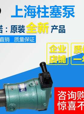 10PCY 25PCY 63PCY 80PCY 100PCY 160PCY 250PCY14-1B/轴向柱塞泵