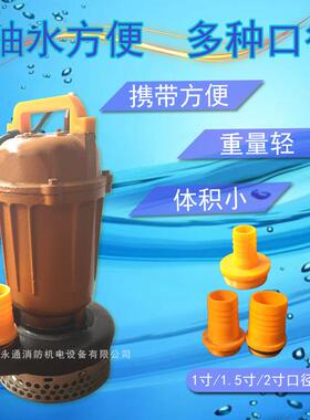 清水潜水泵220V微型潜水泵农用排灌单相家用抽水泵QDX10-18-1.1