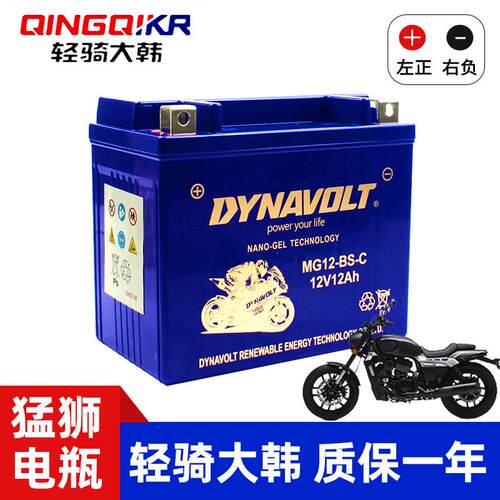 轻骑大韩晓星GV300 GV300S坦影250 GV250 GV650 U侠大脚怪黑7电瓶