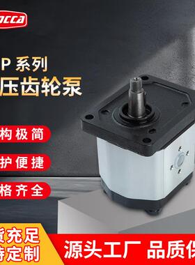 Danfoss丹佛斯SNP2/3齿轮泵 固定排量铝壳液压泵农机微挖液压配件