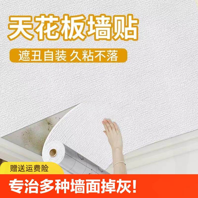 天花板贴纸3d立体自粘墙贴房顶遮丑吊顶防水防潮屋顶壁纸棚顶墙纸
