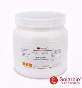 L8101水解乳蛋白LactalbuminHydrolysate68458-87-7