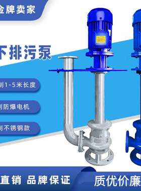 液下排污泵100YW110-10-5.5KW无堵塞双管单管整机国标法兰