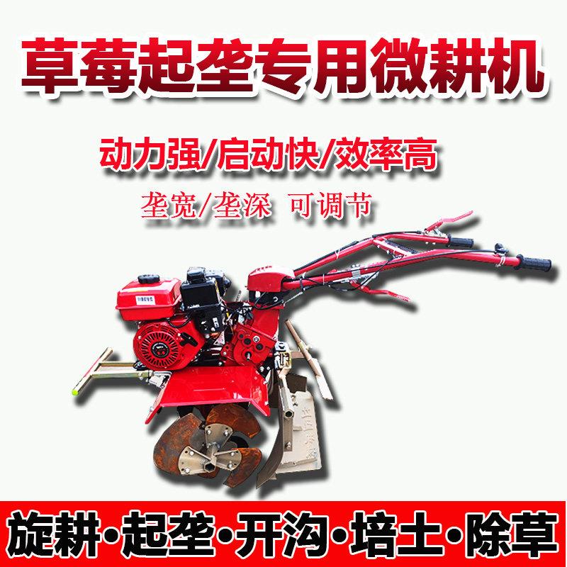 新款170F草莓专用起垄机立盈微耕机扶沟起垄旋耕农用果园开沟培土