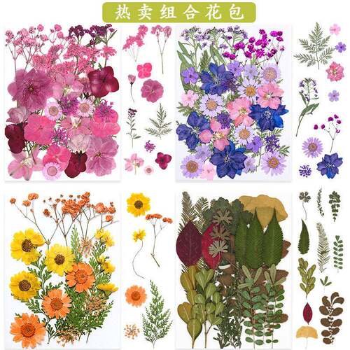 跨境押花书签真树叶植物标本滴胶手机壳手工树叶画干花压花材料包