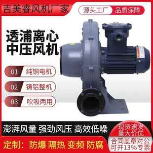 BT4气体防爆CT4粉尘防爆21区中压鼓风机CX 75A铝合金蜗壳风机750w