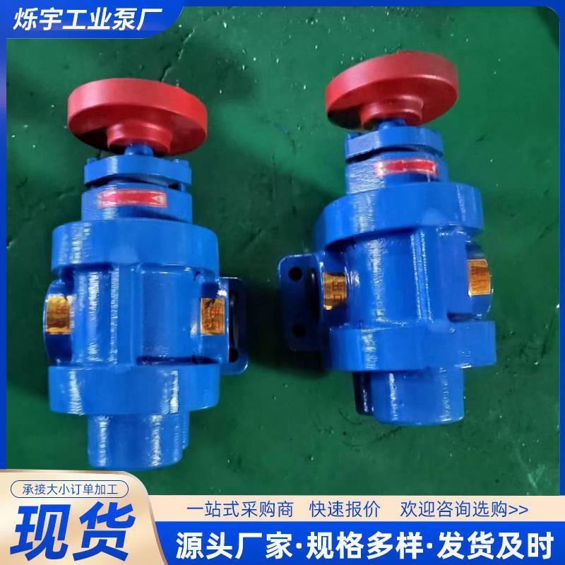 2CY齿轮式电动输油泵 卧式重油泵高压机油泵柴油泵 12V微型热水泵
